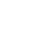 featureicon