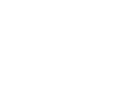 featureicon