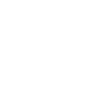 featureicon
