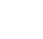 featureicon