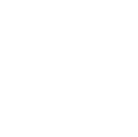 featureicon