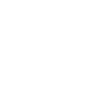 featureicon